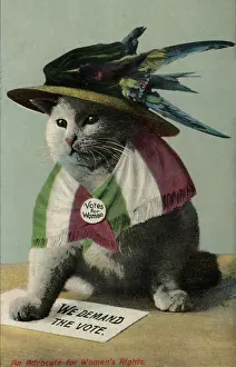 Suffragette Cat In Hat and Flag