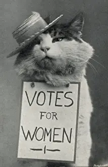 Jaunty: Suffragette Cat in Straw Hat Votes for Women