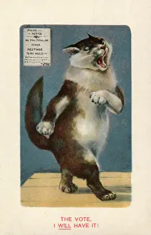 Banning: Suffragette Cat Will Have The vote