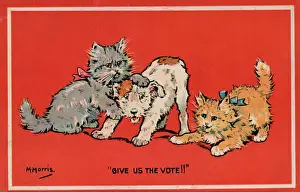 Playfully: Suffragette Cats and Dog fight