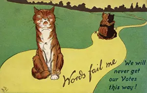 Exclaims: Suffragette Cats Embracing Words Fail Me
