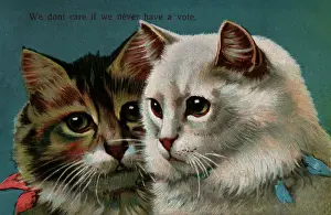 Serenely: Suffragette cats Never Have A Vote