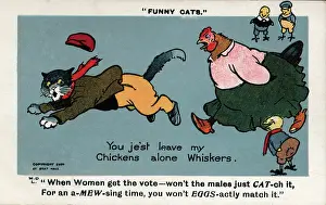 Fearsome: Suffragette Chicken Chases Cat