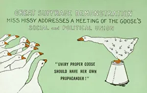 Gander: Suffragette as a goose