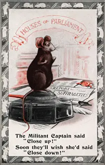 Eradicate: Suffragette Mouse in Houses of Parliament