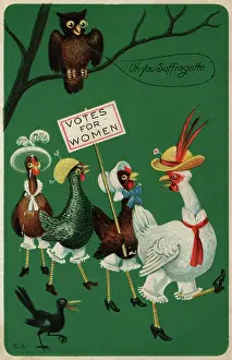 Hoots: Suffragette Owl and Chickens