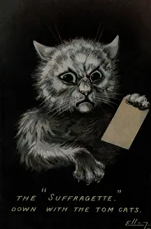 Proclaims: Suffragette Down with Tom Cats