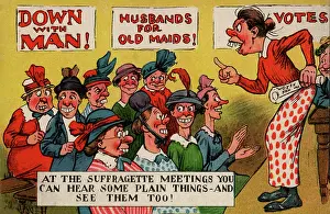 Bevy: Suffragettes Plain Things at Meeting