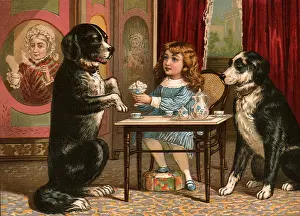 Canines: Take Sugar?