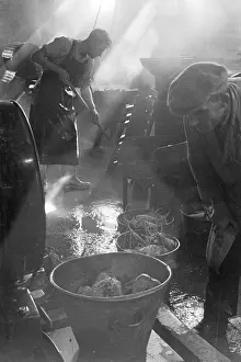 Calculated: SUGAR BEET WEIGHED