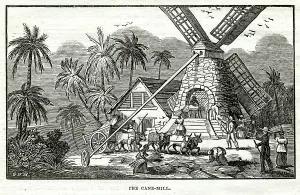 Antigua: Sugar cane mill