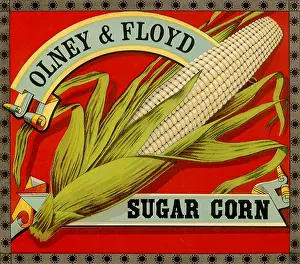 Vegtable: Sugar Corn Label