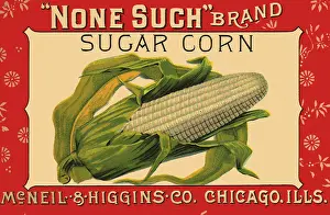 Vegtable: Sugar Corn Label