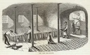 Dunces: SUGAR FILL-HOUSE