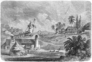 Guadeloupe: Sugar mill, Guadeloupe, 1850s