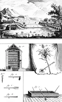 Diderot: Sugar Plantation - Diderot