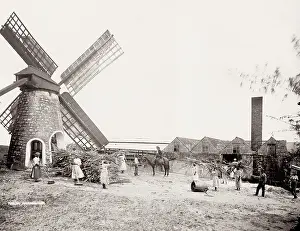 Stacks: Sugar processing mill, windmill, Barbados, West Indies
