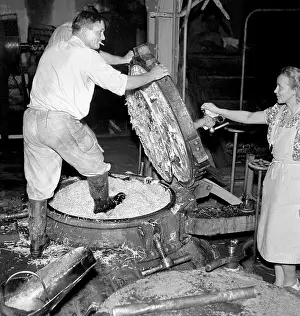 Beets: Sugar refinery