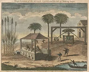 Evaporation: Sugarcane processing in the West Indies, possibly