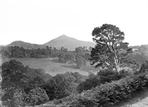 Further: Sugarloaf and Glen of Dargle