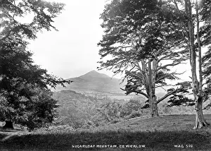 Sugarloaf: Sugarloaf Mountain, Co Wicklow