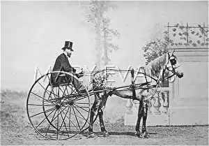 Sulky: SULKY PHOTO 1860