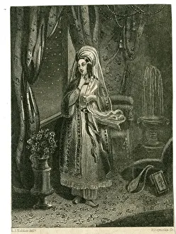 Sultana: The Sultana