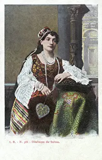 Odalisque: One of the Sultan's Concubines from the Harem - Turkey