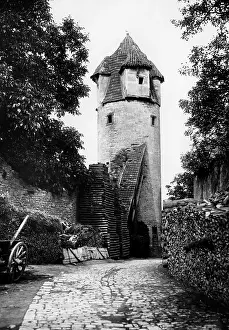 Owls: Sulzfeld