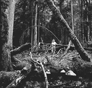 A.k.a: Sumava - Boubin jungle