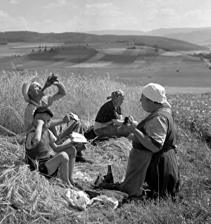 Sumava: Sumava - harvest