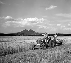 Sumava: Sumava - wheat harvest