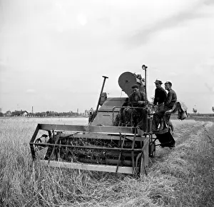 Vinatge: Sumava - wheat harvest