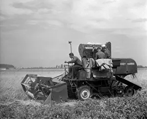 Vinatge: Sumava - wheat harvest