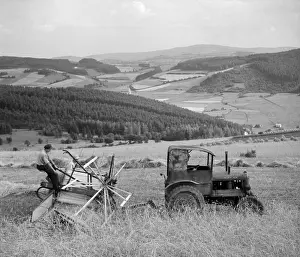 Sumava: Sumava - wheat harvest