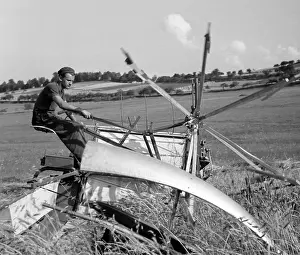 Sumava: Sumava - wheat harvest