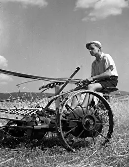 Sumava: Sumava - wheat harvest