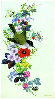 Lynes: Sumer wild flowers with bird, butterfly and bee