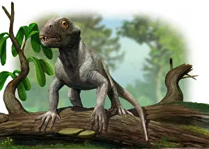 Alertness: A Suminia getmanovi in a prehistoric environment