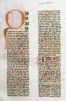Preacher: Summa de casibus conscientiae by Bartholomew of Pisa. 15th c