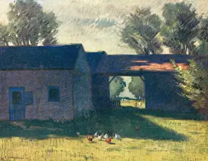 Pecking: Summer