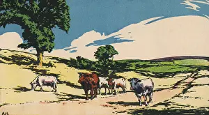 Summer by Adrian Hill
