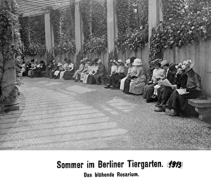 Dwell: Summer in Berlin Tiergarten, 1913