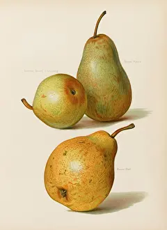 Beurre: PEARS