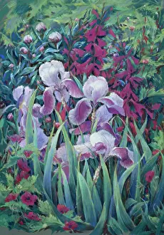 Patterson: Summer Border