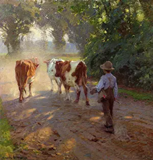 Arnesby: Full Summer ' boy with cows