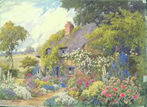 Walford: Summer colour