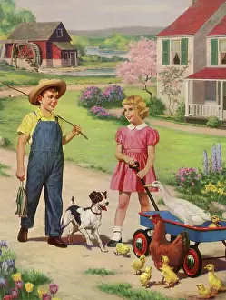 Rooster: Summer Conversation