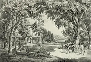 C1865: Summer in the country
