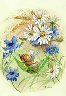 Hammock: A Summer Day - vole in hammock reading